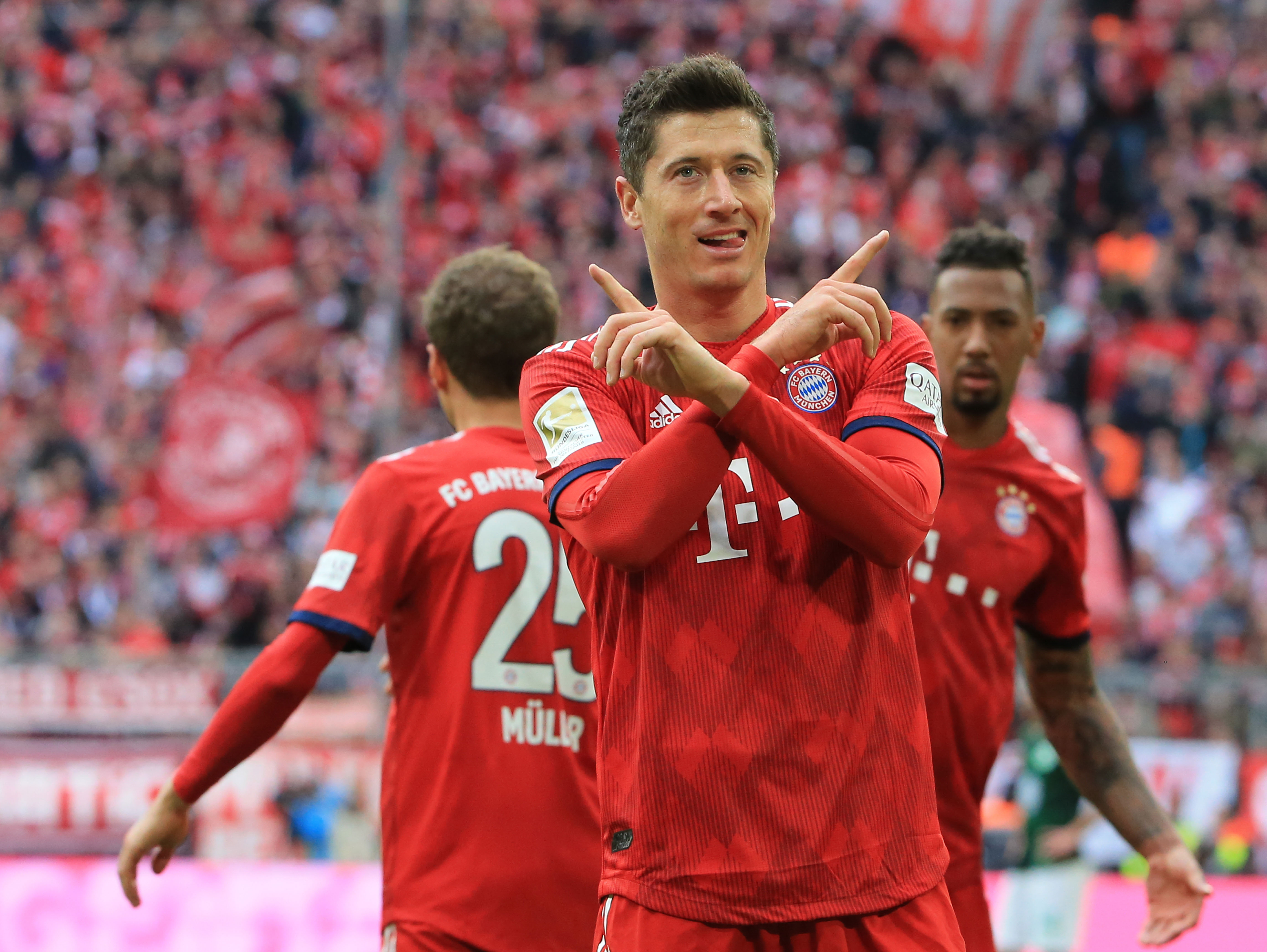 的球迷来说 的球迷来说