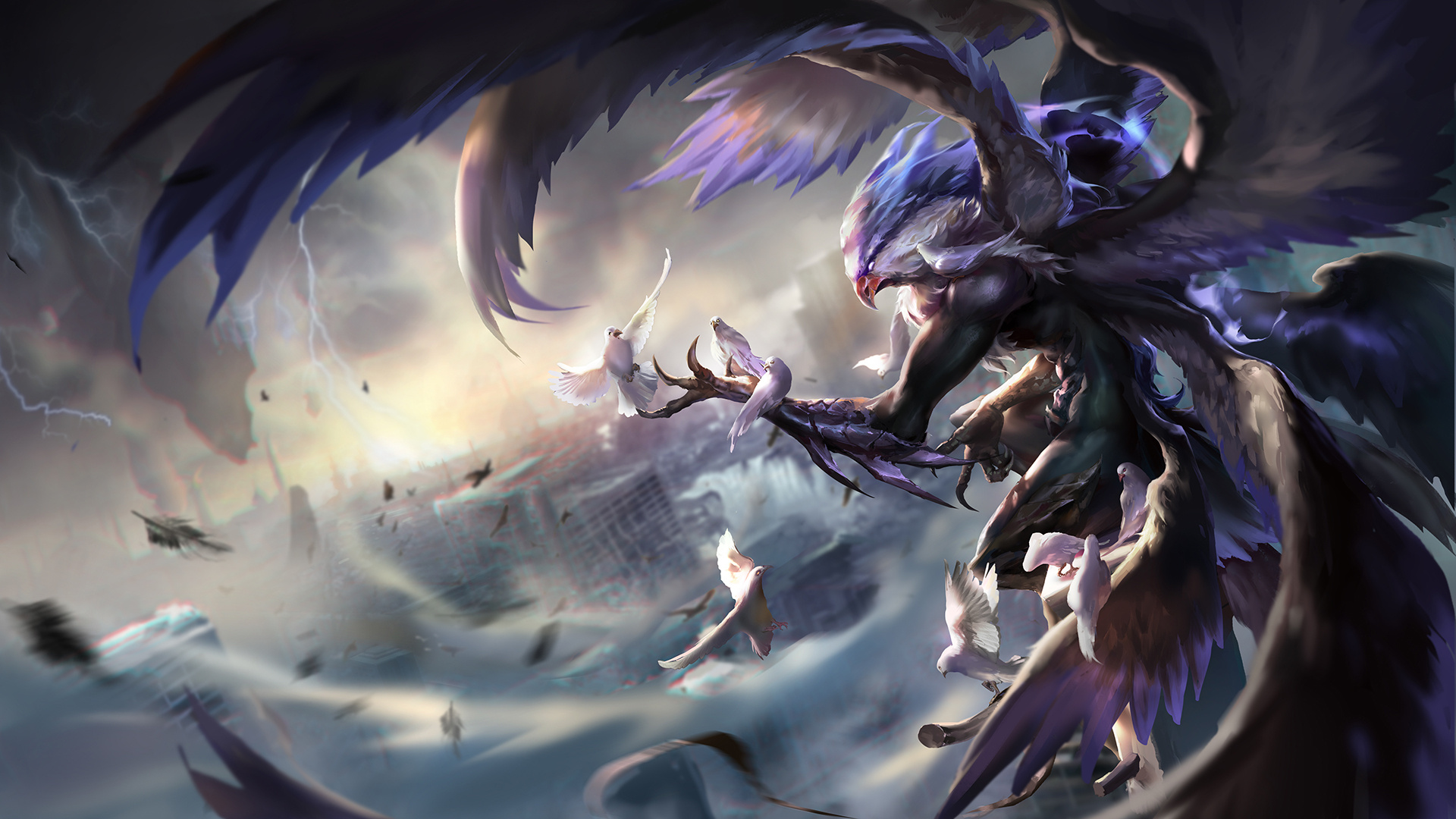 德约科维奇 德约科维奇