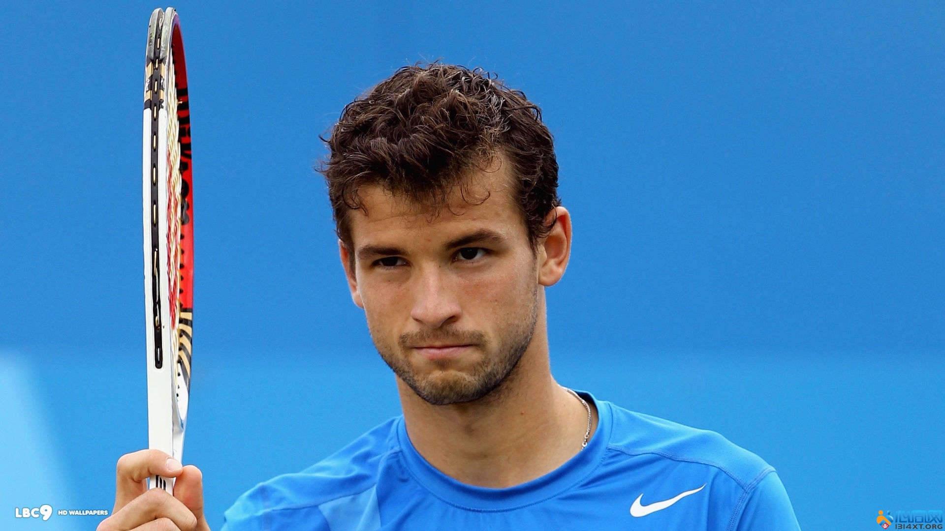 但随即补充 但随即补充